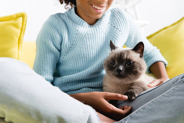 Cropped view of smiling african american girl with crossed legs, stroking cat lying on sofa at home - Fotografie, Obrázek
