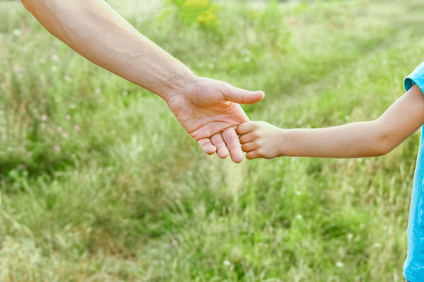 hands of parent and child in nature - Fotografie, Obrázek