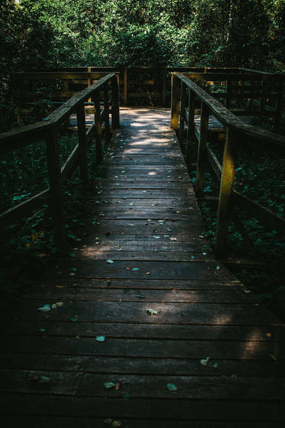 Wooden footpath leads through bushes and swampland in the forest - Foto, imagen