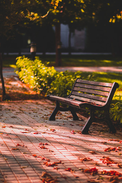 Autumn leaves and a single bench in the garden in Turkey - Φωτογραφία, εικόνα
