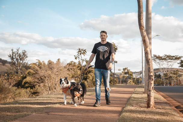 giovane brasiliano a piedi il suo confine collie cani - Foto, immagini