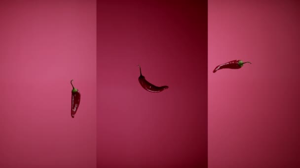Verse pittige Chili pepers gegooid omhoog vliegen hangend in de lucht en vallen naar beneden - Video