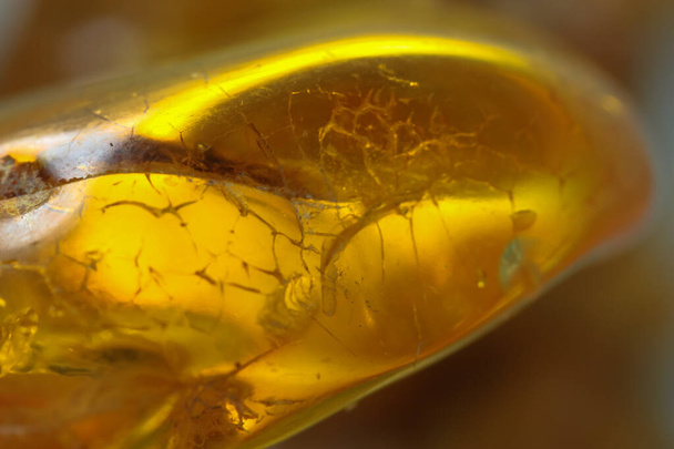 Pala luonnon meripihka peilipinnalla, heijastus keltainen puolijalokivi - Valokuva, kuva
