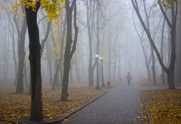 nevoeiro na cidade - Foto, Imagem