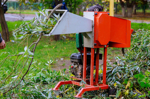 Садовник вертолёта с помощью шредера портативный дробилка древесины - Фото, изображение