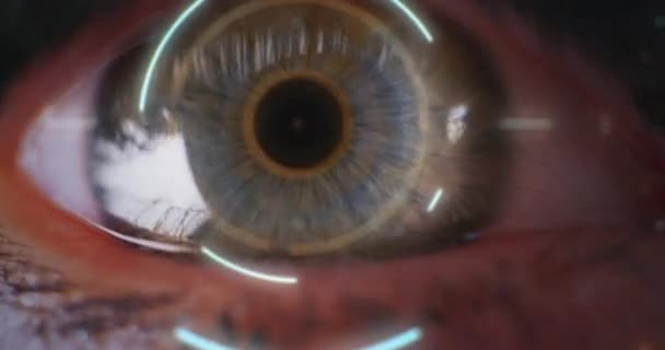 Close-up van de biometrische verificatie van het oog - Video