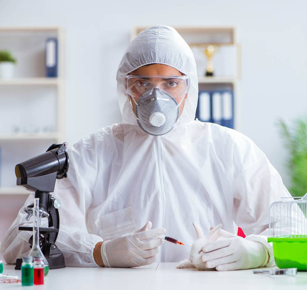 Επιστήμονας που κάνει πειράματα σε ζώα στο εργαστήριο με κουνέλι - Φωτογραφία, εικόνα