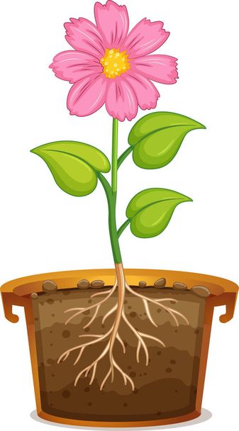 Růžová květina v hliněném hrnci na bílém pozadí ilustrace - Vektor, obrázek