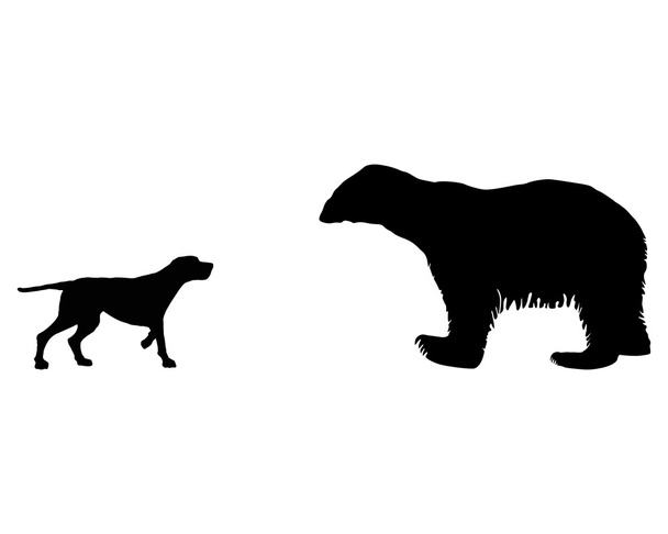 Dois animais, cão de caça e urso de gelo se encontram cara a cara
 - Vetor, Imagem