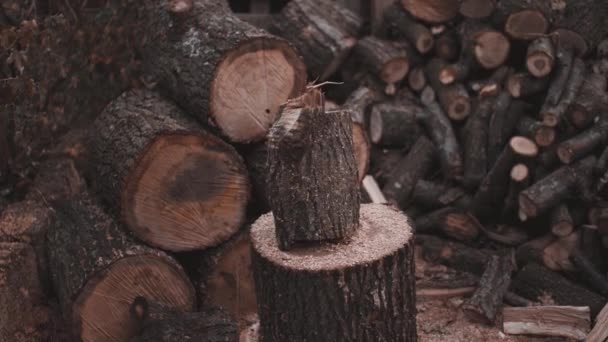 Izom favágó favágja fa kemény egy kör mozog egy fejsze - Felvétel, videó
