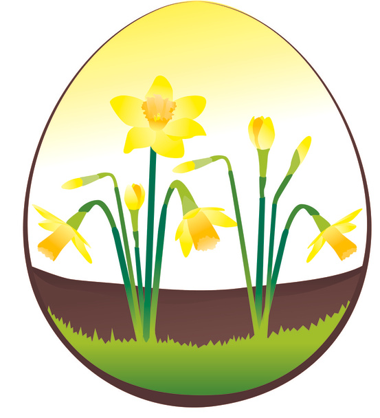 Narcissus in Easter egg - Vector, Image