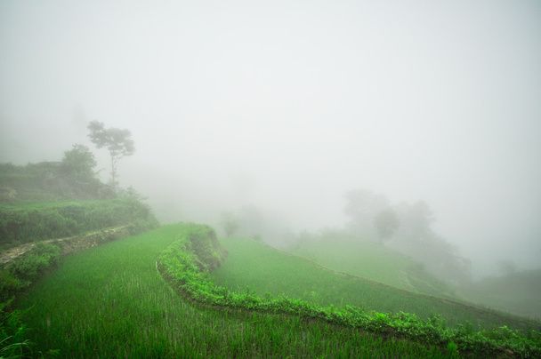 Sul da China, Yunnan - 2011: Terraços de arroz em terras altas
 - Foto, Imagem