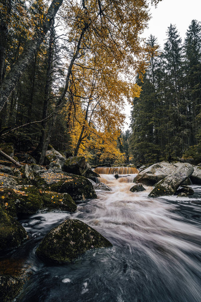 An autumn view of a river in an Alaska like forest. Wild creek or river in the middle of autumn forest. Mountain stream with cascades and waterfalls. - Фото, изображение