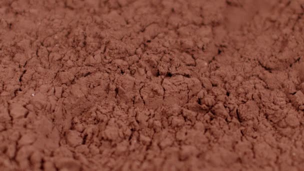 Trufa francesa hecha a mano que cae en polvo de cacao en cámara lenta, primer plano - Imágenes, Vídeo