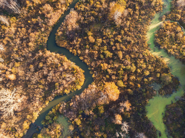 Herbstlandschaft mit Fluss. - Foto, Bild