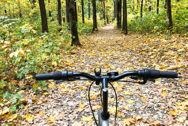 τιμόνι ποδηλάτου μπροστά από την εικόνα. Φθινοπωρινό δάσος με πολύχρωμα φύλλα στο μονοπάτι. Έννοια ενεργού τρόπου ζωής. - Φωτογραφία, εικόνα