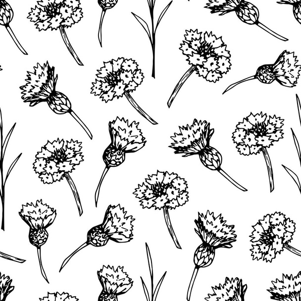 Handgetekende bloemenvector naadloos patroon in graveerstijl. Zwarte omtrek van bloemen korenbloemen, twijgen op een witte achtergrond. Voor het bedrukken van stof, verpakking, papier, behang, textielproducten. - Vector, afbeelding