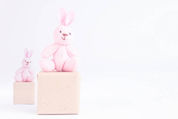 Conejo rosa sentado en la caja sobre fondo blanco - Foto, Imagen