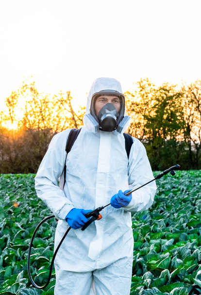 Farmer and Agronomist spraying pesticide on field with Harvest. - Photo, Image