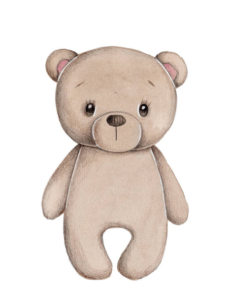 Netter Cartoon-Teddybär, braun. Aquarell handgezeichnete Kunst, Illustration, Skizze, Ikone.  - Foto, Bild