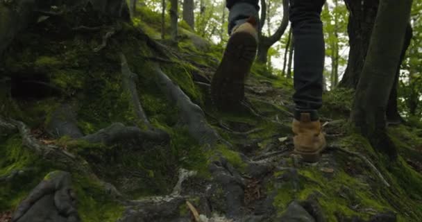 De man klimt een berg op. Een close-up van zijn been. Hij gaat langs de wortels van bomen. Wandelen in de bergen. 4K DCI - Video