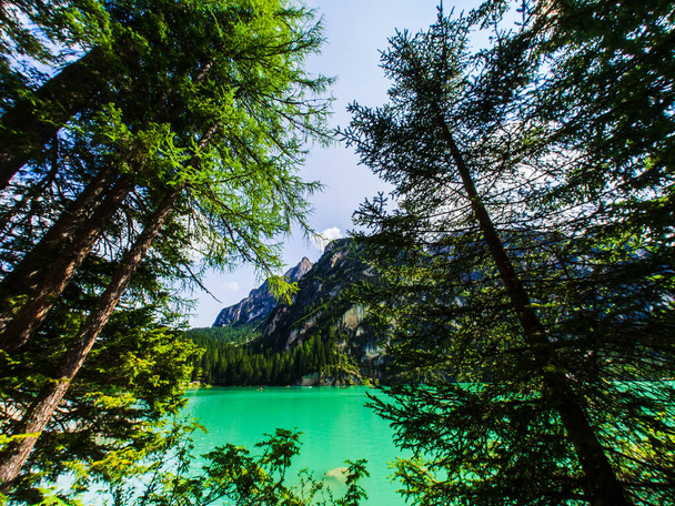 Der Pragser See im Herzen der Dolomiten in Trentino-Südtirol, ein Schuss durch die grünen Bäume. Hier ist die Natur erstaunlich - Foto, Bild