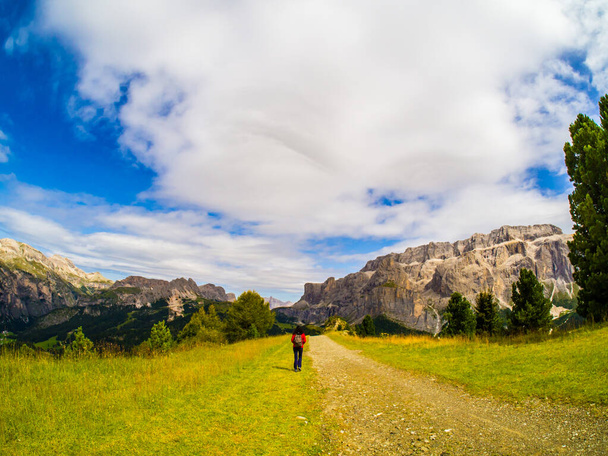 πεζοπορική διαδρομή μιας γυναίκας, προς την val gardena, ανάμεσα στα βραχώδη βουνά των δολομιτών, trentino, italy και καταπράσινες κοιλάδες με πεύκα - Φωτογραφία, εικόνα