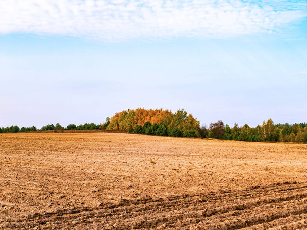Aurattu maatalouspelto pilvistä horisonttia vasten. - Valokuva, kuva