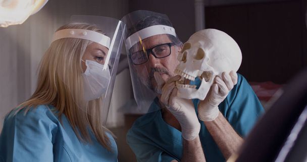 Współpracujący dentyści omawiający anatomię czaszki - Zdjęcie, obraz