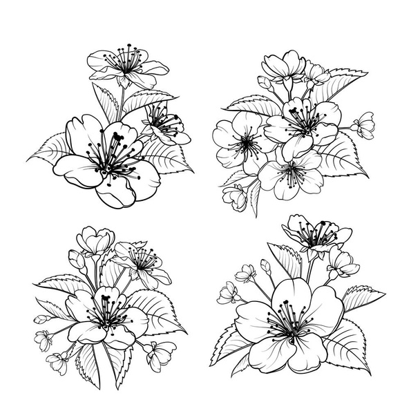 Elementos de design desenhados à mão coleção de flores sakura. - Vetor, Imagem
