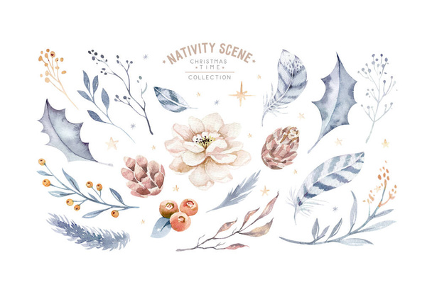Big New Year's set isolated design elements. The leaves and berries, pine cones, twigs, orange, cotton. Watercolor illustration - Foto, afbeelding