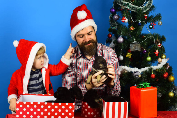 Man and boy in Santa hats play with puppies. - Foto, Imagen