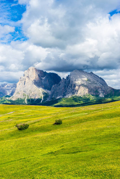 Olaszország, Alpe di Siusi, Seiser Alm with Sassolungo Langkofel Dolomite, egy nagy zöld mező egy hegy a háttérben - Fotó, kép