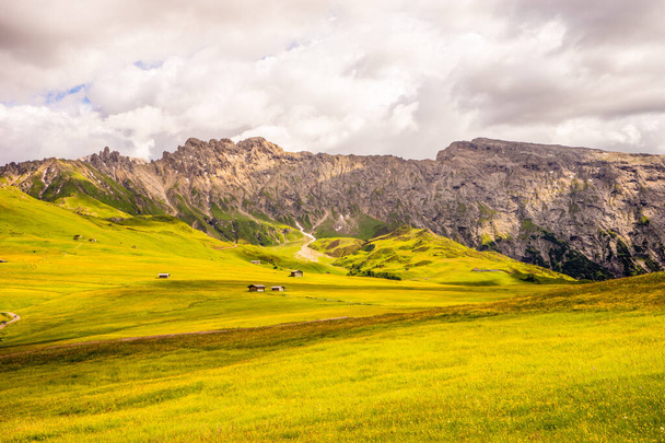 Alpe di Siusi, Seiser Alm con Sassolungo Langkofel Dolomite, un primer plano de un exuberante campo verde en un panorama del cañón del valle - Foto, imagen