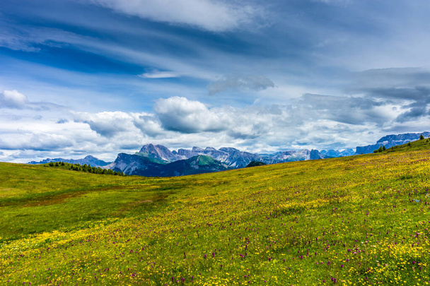 Italia, Alpe di Siusi, Seiser Alm con Sassolungo Langkofel Dolomite, un gran campo verde bajo un cielo azul nublado - Foto, Imagen