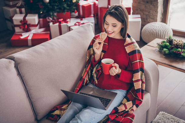Photo of pretty woman sit couch hold netbook hold cup eat cookie wear blanket red pullover jeans in decorated x-mas living room indoors - Valokuva, kuva