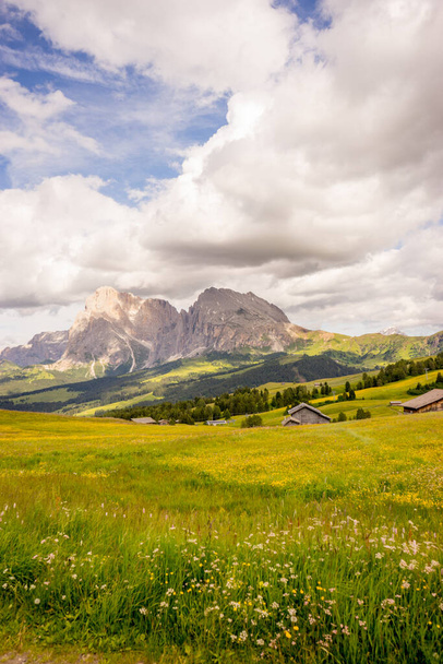 Italy, Alpe di Siusi, Seiser Alm with Sassolungo Langkofel Dolomite, a field with a mountain in the background - Photo, Image