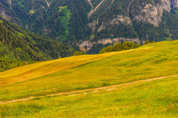 Olaszország, Alpe di Siusi, Seiser Alm with Sassolungo Langkofel Dolomite, egy buja zöld domboldalon - Fotó, kép