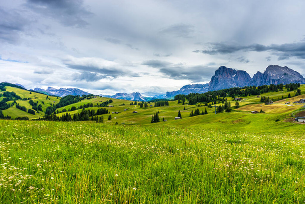 Italia, Alpe di Siusi, Seiser Alm con Sassolungo Langkofel Dolomite, un gran campo verde con una montaña en el fondo - Foto, Imagen