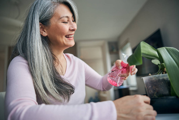Fröhliche Frau sprüht Zimmerpflanze zu Hause mit Wasser - Foto, Bild