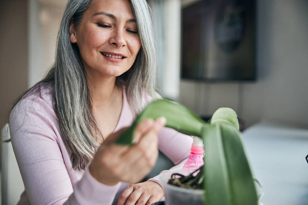 Gyönyörű örömteli nő kezében zöld növény levél - Fotó, kép