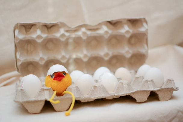 卵チキンのコンセプト。おもちゃの雛は卵箱の中で卵から孵化する. - 写真・画像