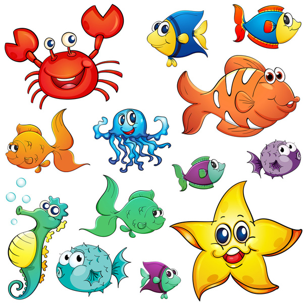 Diferentes criaturas marinas
 - Vector, imagen
