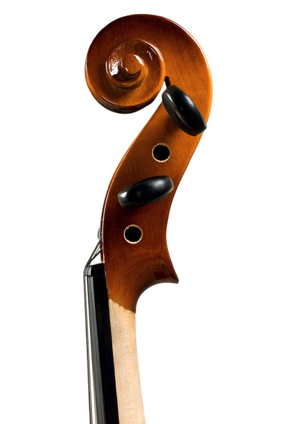 Violin - Foto, Imagen