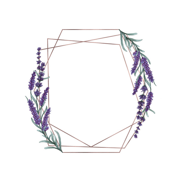 Lavender flowers frame. Watercolor hand drawn background. lavender illustration - 写真・画像