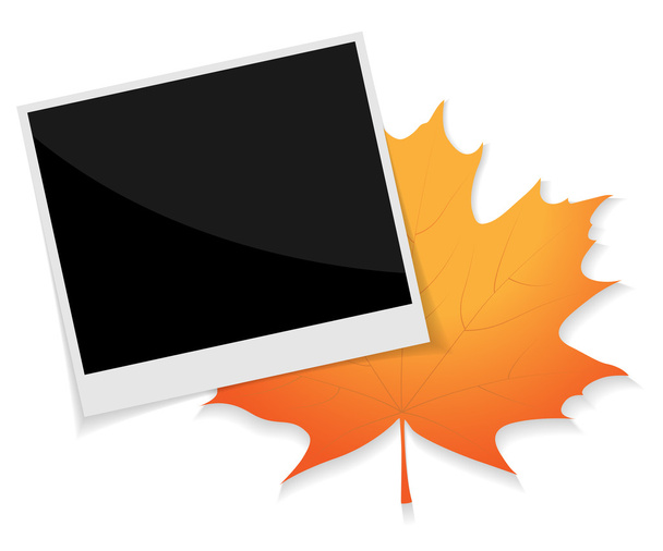 photo frame - Vector, Image