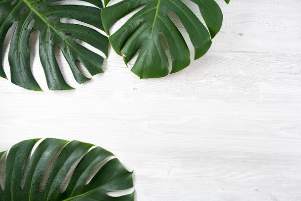Beautiful green tropical leaves of monstera on a white background. Summer concept. Flat lay, top view, copy space, banner, poster, postcard, template - Foto, immagini