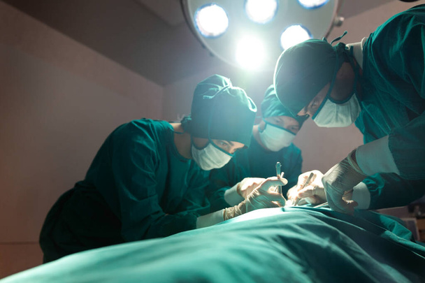 Doktorlar, modern tıbbi ekipmanlarla donatılmış hastaları ameliyathanelerde tedavi ediyorlar.. - Fotoğraf, Görsel