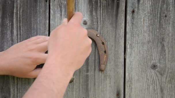 Hand take off horse shoe - Footage, Video