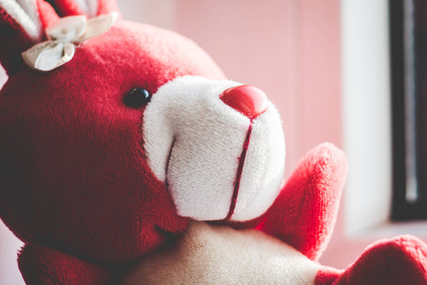 A selective focus shot of a pink bear toy against a white wall - Photo, Image
